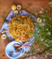 آپساید داون زردآلو