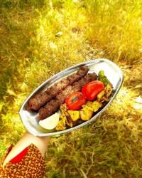 کباب کوبیده وجوجه کباب