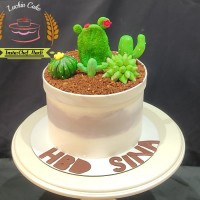 کیک گلدان کاکتوس