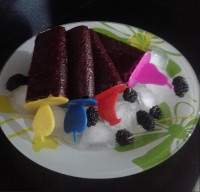 بستنی یخی شاه توت