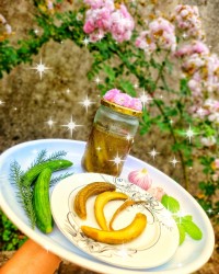 خیارشور یک روزِ