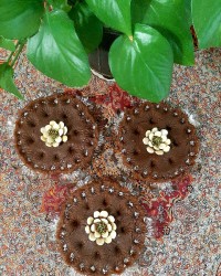 حلوای شیر خرما