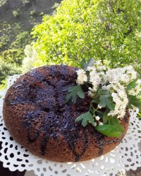 کیک کاکائویی ساده