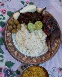 بلدرچین شکم پر..