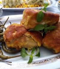 شنسیل ماهی