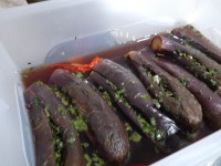 ترشی بادمجان شکم پر