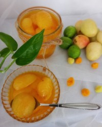 مربا زردآلو