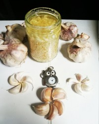 حریره سیر و روغن زیتون