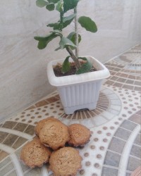 کیک سیب آلمانی