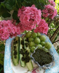 دلار یا نمک سبز با الوچه تازه و خیار محلی خیلی خوشمزه میشه