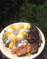 ماهی گرده بیج