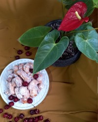 پشیمه ترکمنی