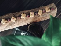 شیرینی نخودچی لطفا ورق بزنید