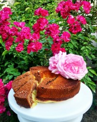 کیک ماست سه رنگ