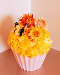 باگر کیک از آجی پوران