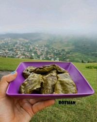 یک روز خوب در طبیعت