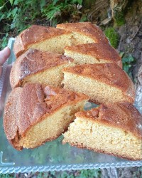 کیک ساده بدون همزن وفر