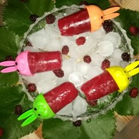 آلاسکا شاتوت