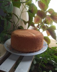 کیک اسفنجی ۳تخم مرغی