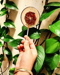 آبنبات چوبی زعفرانی (دستور پاپیون)