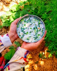 اب دوغ خیار (دوقراماج)