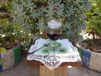 شربت شاتوت قرار گروهی