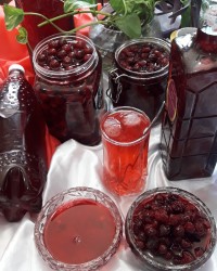 شربت _آلبالو مربا_آلبالو ترشی_آلبالو