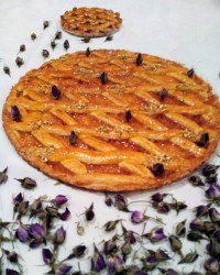 پیروک مارمالادی