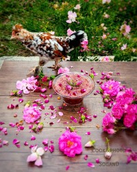 مربای گل محمدی تازه
