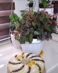 عاشق این کیکم که همش درستش میکنم ?????