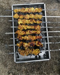 (10)جوجه کباب ?یه روز عالی کنار خانواده دل طبیعت ? ورق بزنید