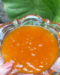 مارمالاد زرد آلو