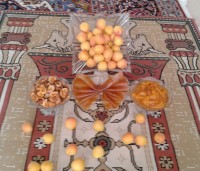 محصولات زردآلویی