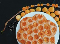 کیک زردآلو