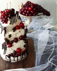 کیک میوه ای پست تقدیمی لطفاً کپشن خوانده شود