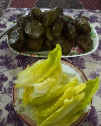 اینم دلمه خوشمزه من .جاتون سبز