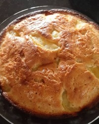 بفرمائید کیک زرد آلو