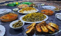 شویدپلو ماهی زرشک پلومرغ