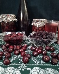 محصولات آلبالویی