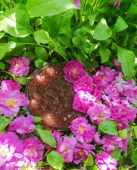 مربای گل محمدی