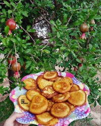 مالک