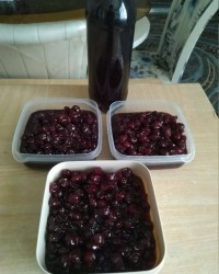 مربا و شربت البالو