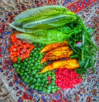 فیله مرغ کبابی