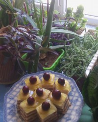 به وقت عصرانه