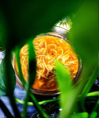 سوپ ماکارانی