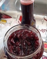 مربا البالو