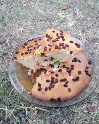 بفرمائید کیک