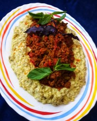 خوراک علی نازیک