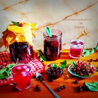 در مسیر پر تلألو تابستان ایستگاه خوشرنگ آلبالویی