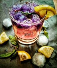 موهیتو گل پنیرک